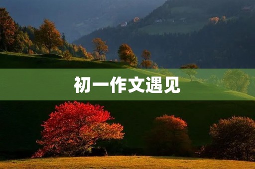 初一作文遇见