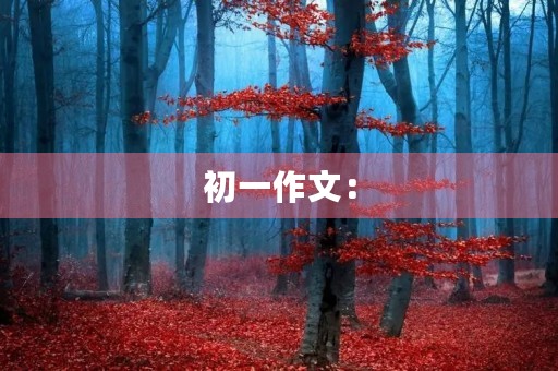 初一作文：【每日小记】让座
