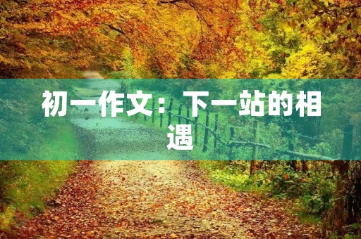 初一作文：下一站的相遇