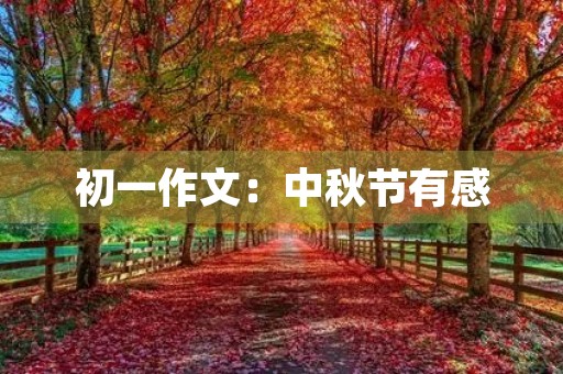 初一作文：中秋节有感
