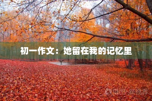 初一作文:她留在我的记忆里 初一作文:她留在我的记忆里