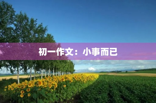 初一作文：小事而已