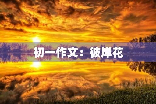 初一作文：彼岸花（二）
