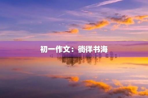 初一作文：徜徉书海，魅力阅读