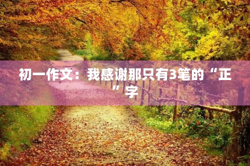 初一作文：我感谢那只有3笔的“正”字