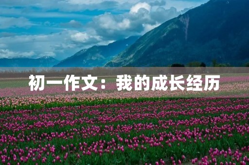 初一作文:我的成长经历 初一作文:我的成长经历