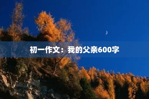 初一作文:我的父亲600字 初一作文:我的父亲600字
