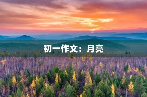初一作文：月亮