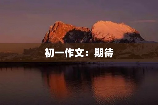 初一作文：期待