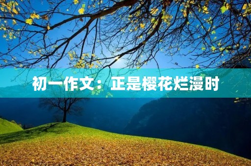 初一作文：正是樱花烂漫时