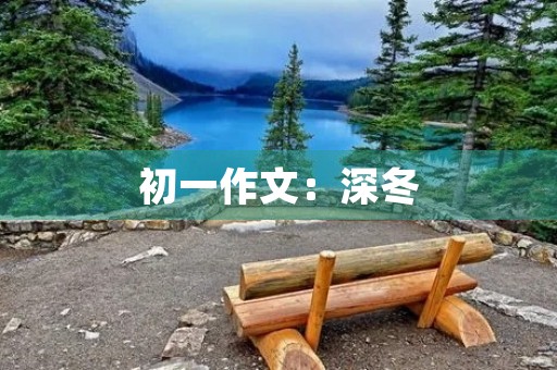 初一作文:深冬 初一作文:深冬