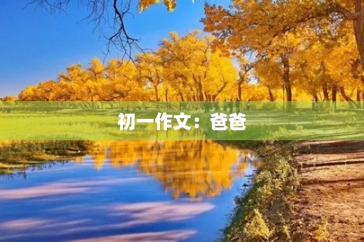 初一作文：爸爸