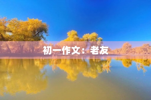 初一作文：老友