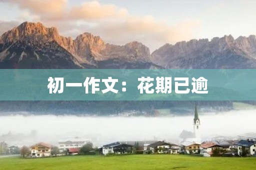 初一作文：花期已逾，蝴蝶已离