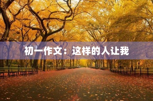 初一作文:这样的人让我 初一作文:这样的人让我