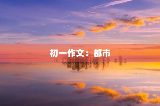 初一作文:都市 初一作文:都市