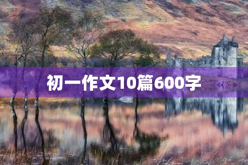 初一作文10篇600字