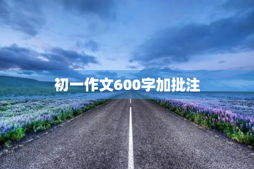 初一作文600字加批注 初一作文600字加批注