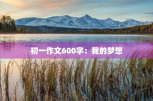 初一作文600字：我的梦想
