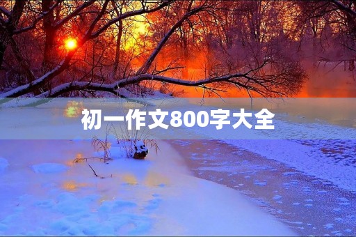 初一作文800字大全