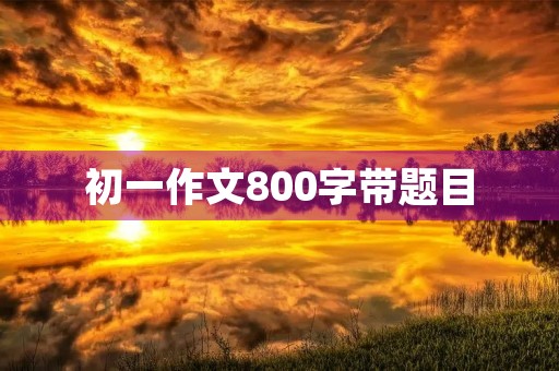 初一作文800字带题目