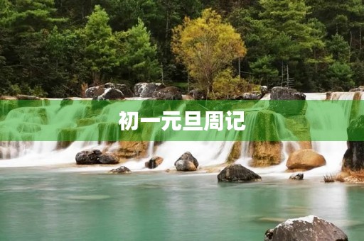 初一元旦周记