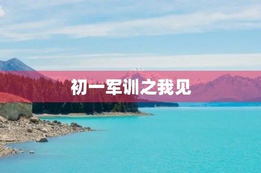 初一军训之我见 初一军训之我见