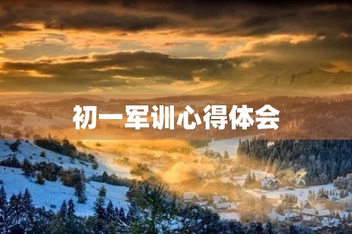 初一军训心得体会