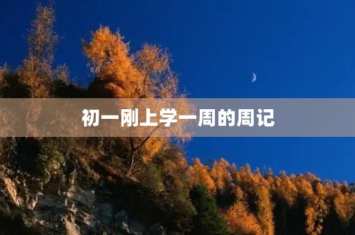 初一刚上学一周的周记