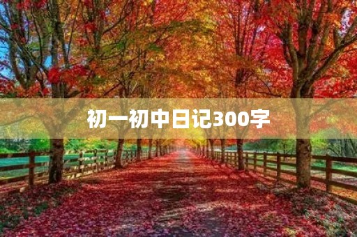 初一初中日记300字
