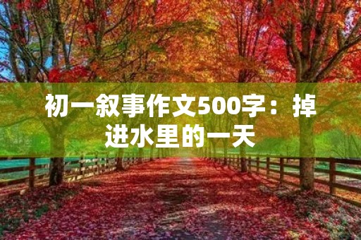 初一叙事作文500字：掉进水里的一天