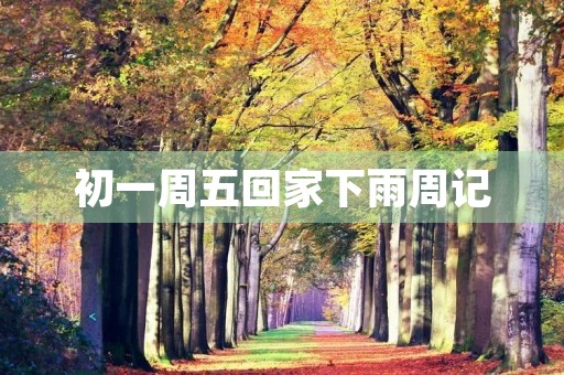 初一周五回家下雨周记