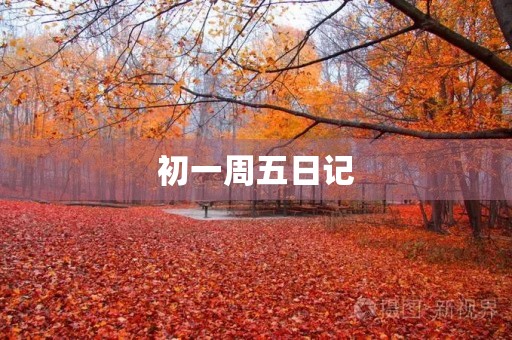 初一周五日记
