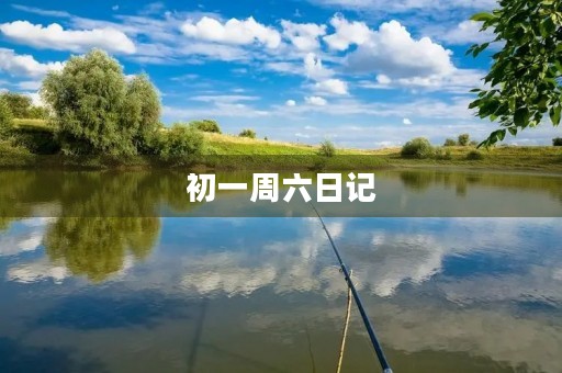 初一周六日记 初一周六日记