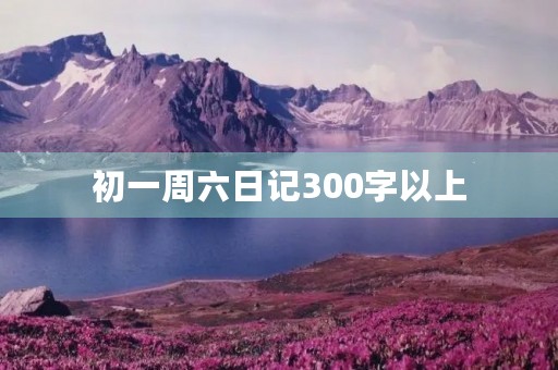 初一周六日记300字以上 初一周六日记300字以上