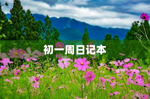 初一周日记本 初一周日记本