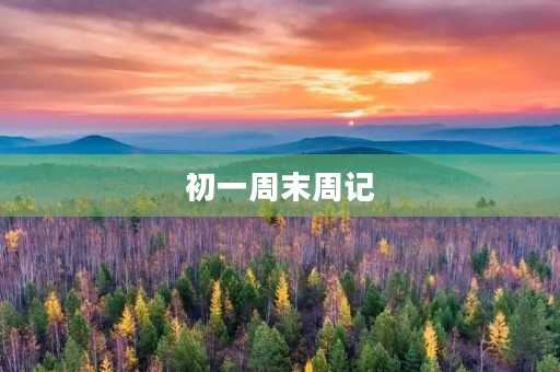 初一周末周记