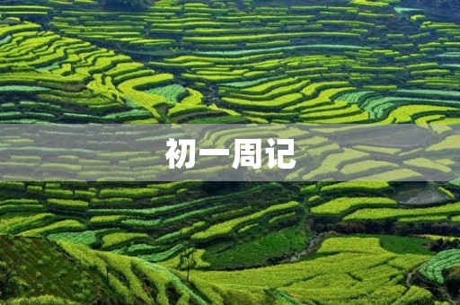 初一周记(周末) 初一周记(周末)