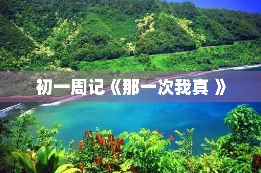 初一周记《那一次我真 》 初一周记《那一次我真 》
