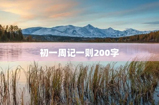 初一周记一则200字