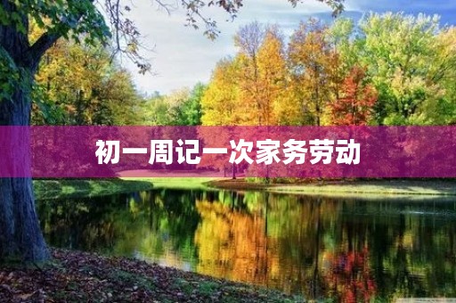 初一周记一次家务劳动