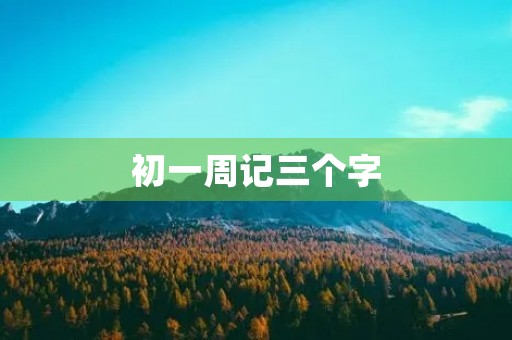 初一周记三个字