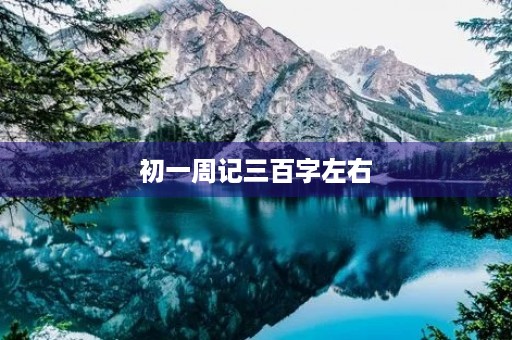 初一周记三百字左右
