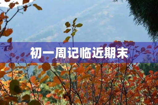 初一周记临近期末