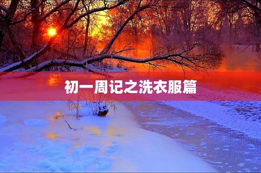 初一周记之洗衣服篇
