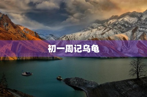 初一周记乌龟