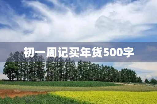 初一周记买年货500字