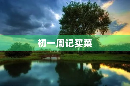 初一周记买菜