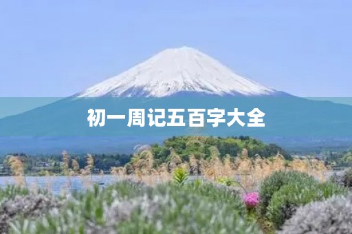 初一周记五百字大全