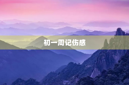 初一周记伤感